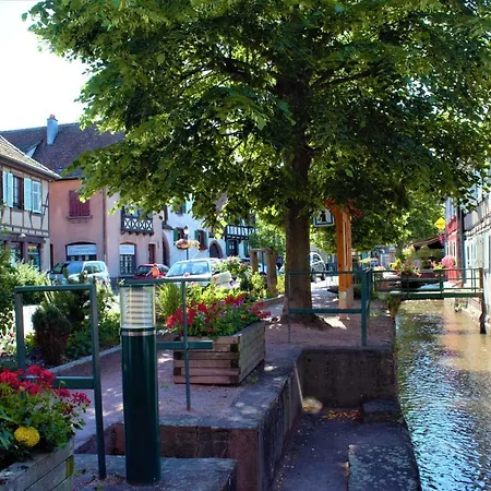 La Halte Des Vignes - Route Des Vins D'alsace Appartement