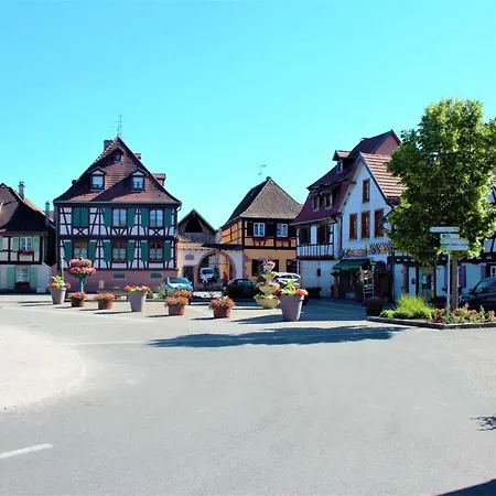 La Halte Des Vignes - Route Des Vins D'alsace Apartment *