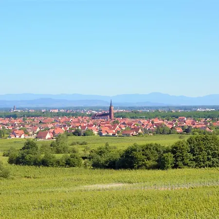 La Halte Des Vignes - Route Des Vins D'alsace * Scherwiller
