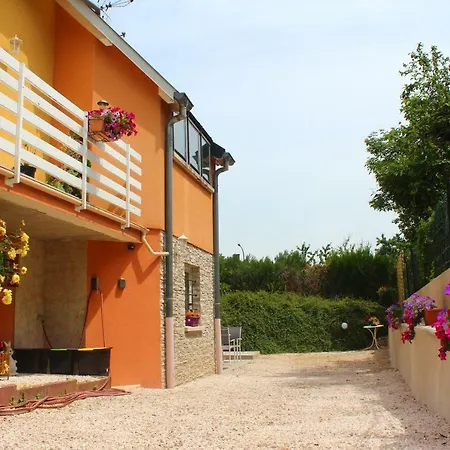 Apartment La Halte Des Vignes - Route Des Vins D'alsace Scherwiller