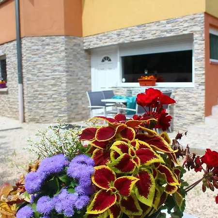 La Halte Des Vignes - Route Des Vins D'alsace Appartement *