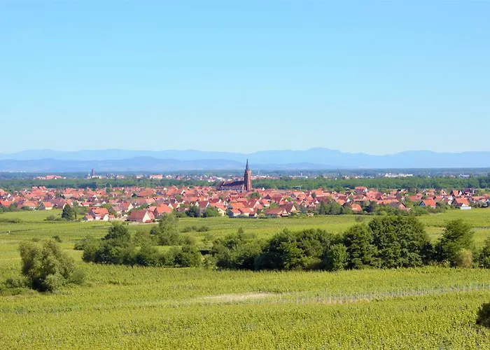 La Halte Des Vignes - Route Des Vins D'alsace * Scherwiller
